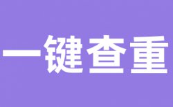 论文查重系统安全吗？会不会泄漏？